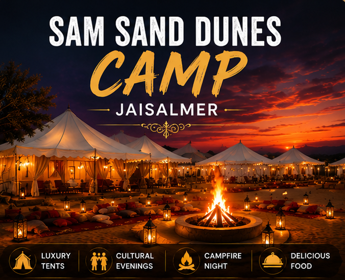 Camel Safari