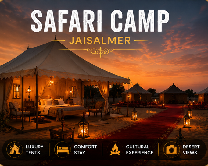 Camel Safari